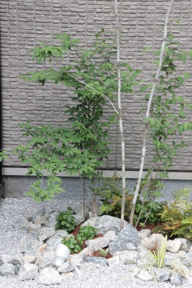 建物の形を活かした坪庭風植栽デザイン